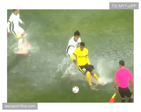 “消失的十分钟”:波士顿赛场因突发性强降雨中断比赛 “消失的十分钟”:波士顿赛场因突发性强降雨中断比赛